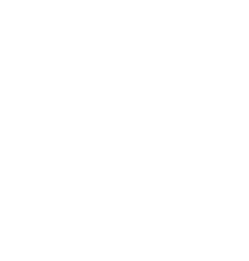 Sun Rice Logo